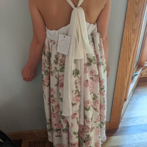 Pleiades Rose chiffon dress - Picture 3 of 3